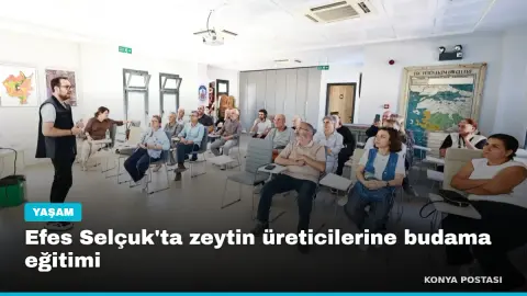 Efes Selçuk'ta zeytin üreticilerine budama eğitimi
