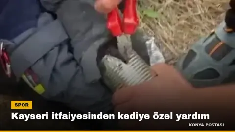 Kayseri itfaiyesinden kediye özel yardım