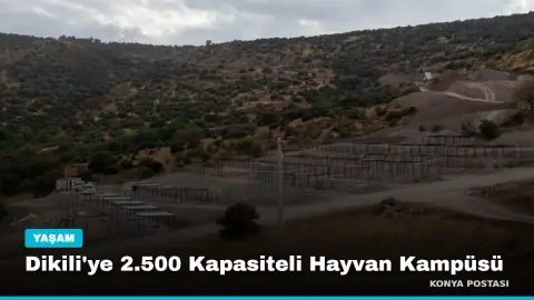 Dikili'ye 2.500 Kapasiteli Hayvan Kampüsü