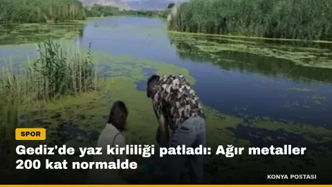 Gediz'de yaz kirliliği patladı: Ağır metaller 200 kat normalde