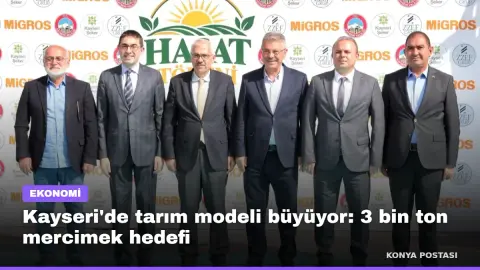 Kayseri'de tarım modeli büyüyor: 3 bin ton mercimek hedefi