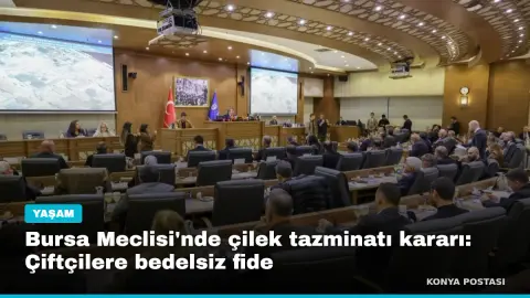Bursa Meclisi'nde çilek tazminatı kararı: Çiftçilere bedelsiz fide