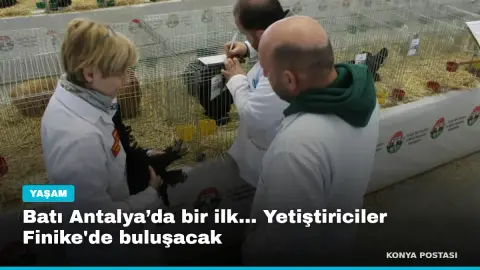 Batı Antalya’da bir ilk... Yetiştiriciler Finike'de buluşacak