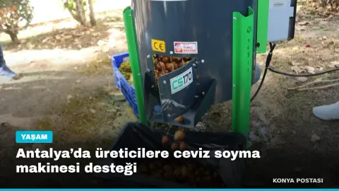 Antalya’da üreticilere ceviz soyma makinesi desteği