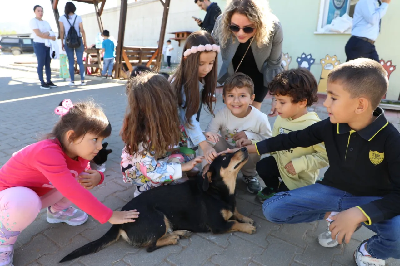Muğla Büyükşehir 4 bin 34 cana yuva oldu