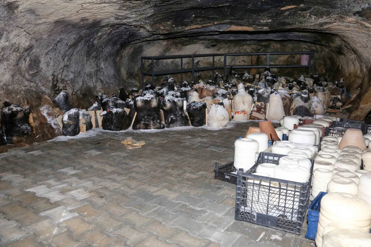 Kızılören'de Mağarada Olgunlayan Asırlık Tuluk Peyniri