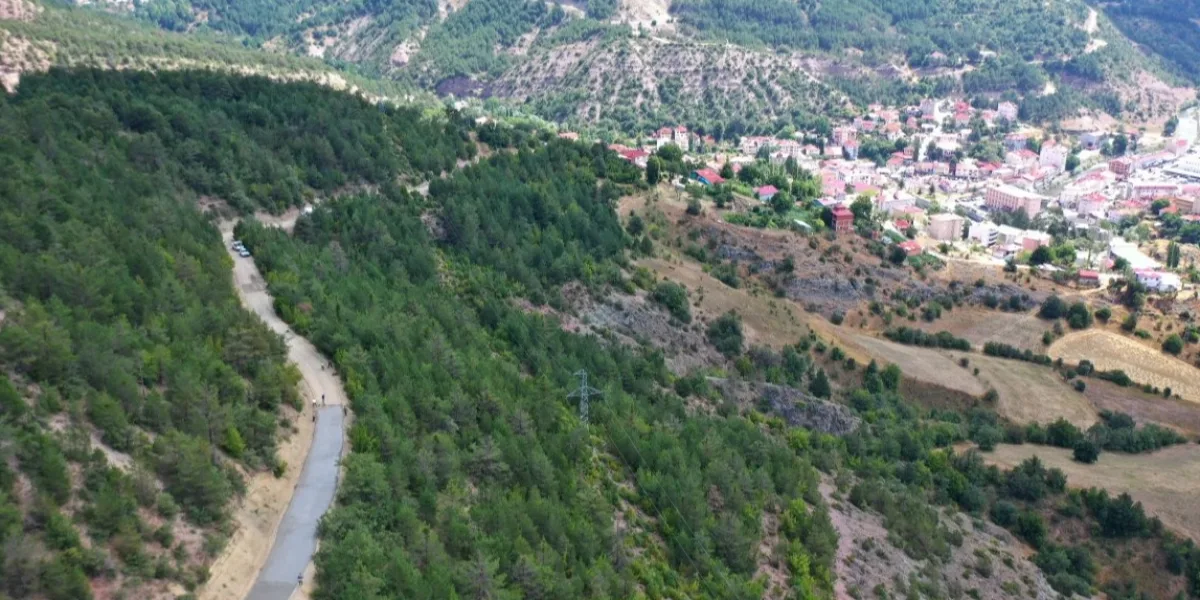 Ordu Büyükşehir’den Mesudiye’ye yeni ulaşım yatırımı