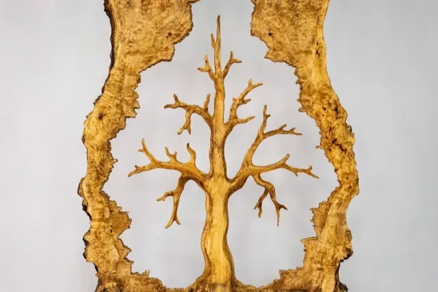 İzmir Urla'da bir barış ağacı