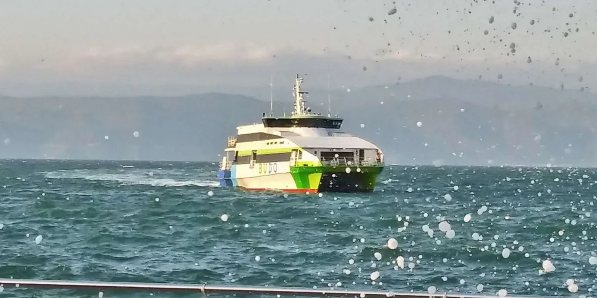 Bursa-İstanbul deniz otobüsü seferlerine hava engeli