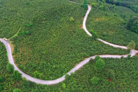 Ordu Büyükşehir’den Ulubey’e 7 kilometrelik asfalt yatırımı