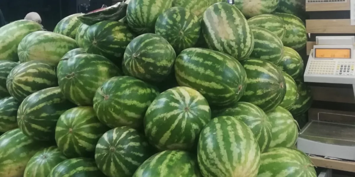 Tarım ürünlerinde üretici fiyatları artışta... En yüksek artış kavun-karpuzda
