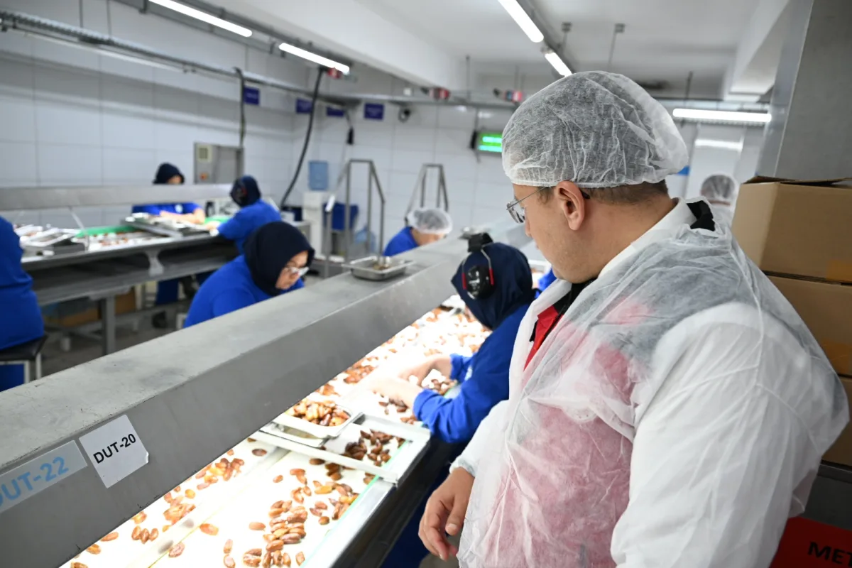 Sağlık profesyonelleri organik tarımı yerinde inceledi