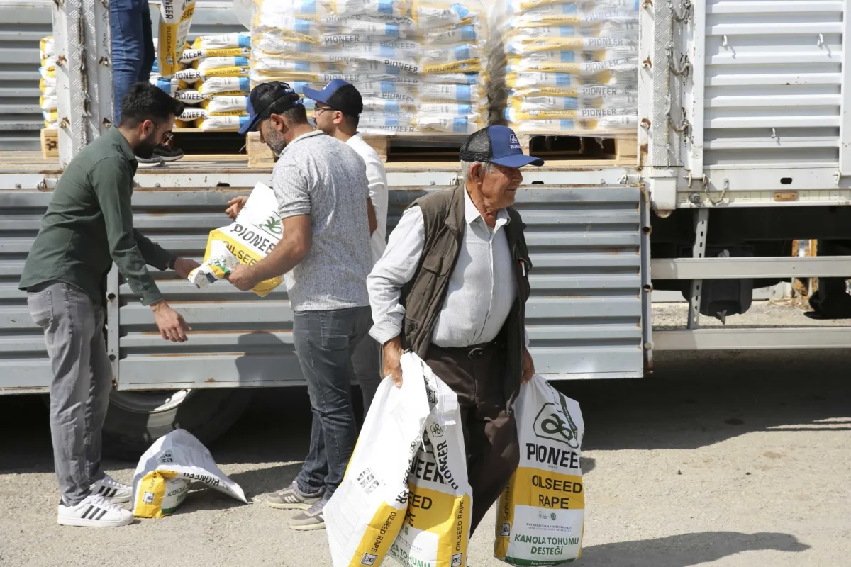 Ankara'da kanola hasadı: Dekar başına 14 bin lira gelir