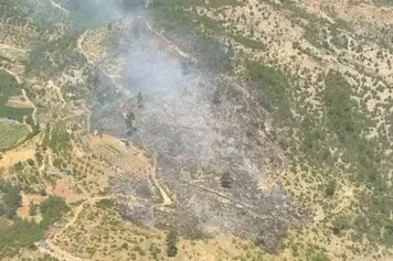 Bursa ve İzmir'de 3 yangın kontrol altına alındı