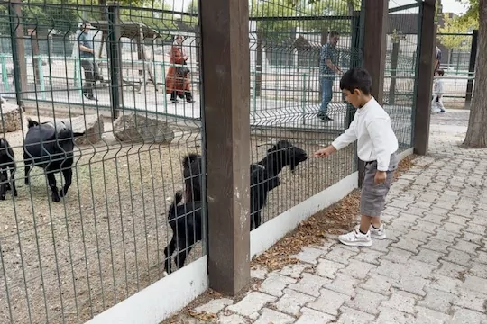 Hayvanat Bahçesi'nde 30 Ağustos bereketi