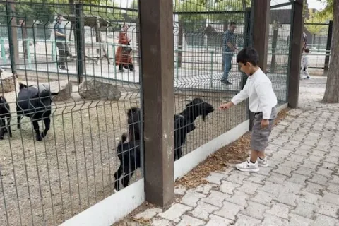 Hayvanat Bahçesi'nde 30 Ağustos bereketi