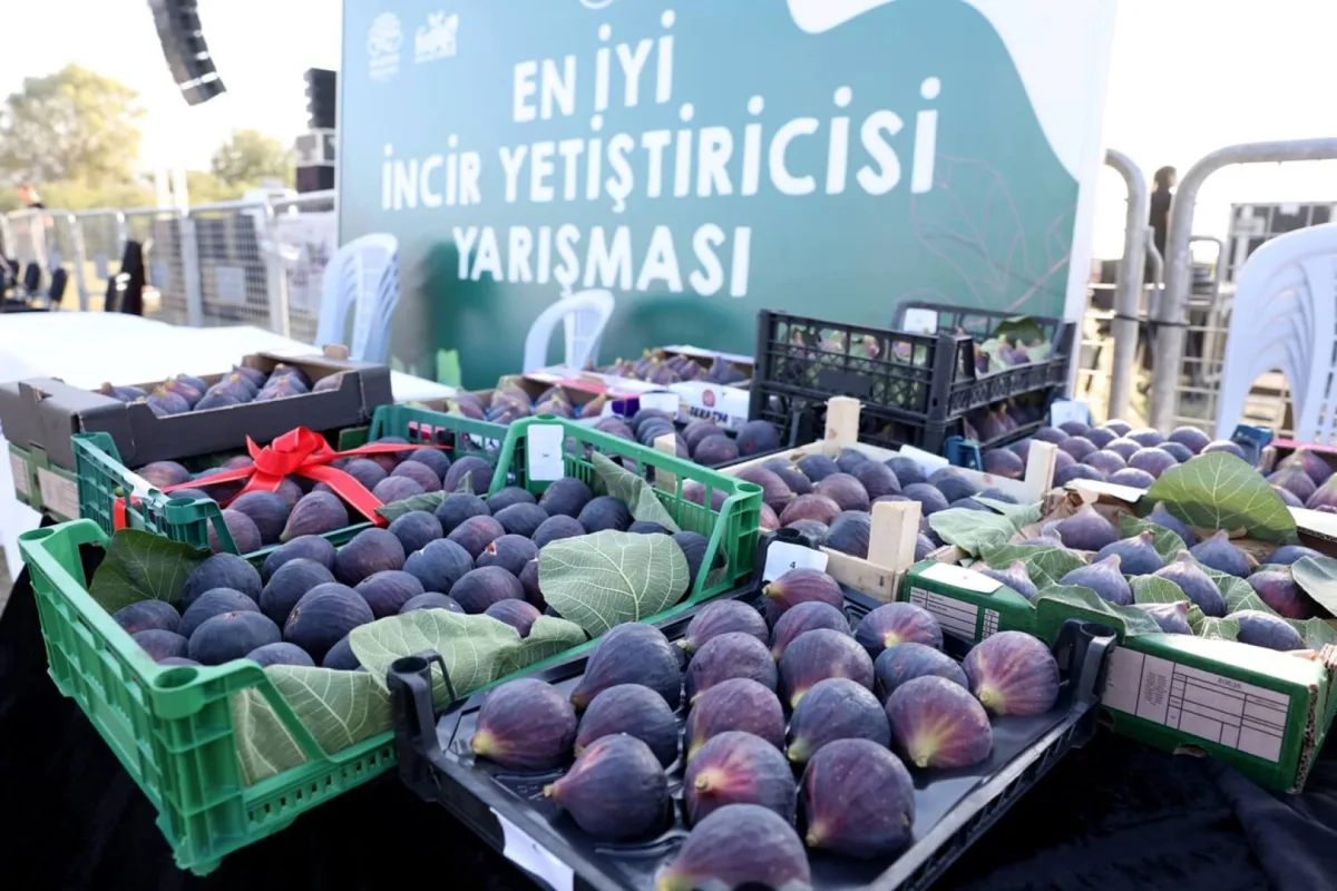 Nilüfer'de 12. Fadıllı İncir Festivali 13 Eylül'de