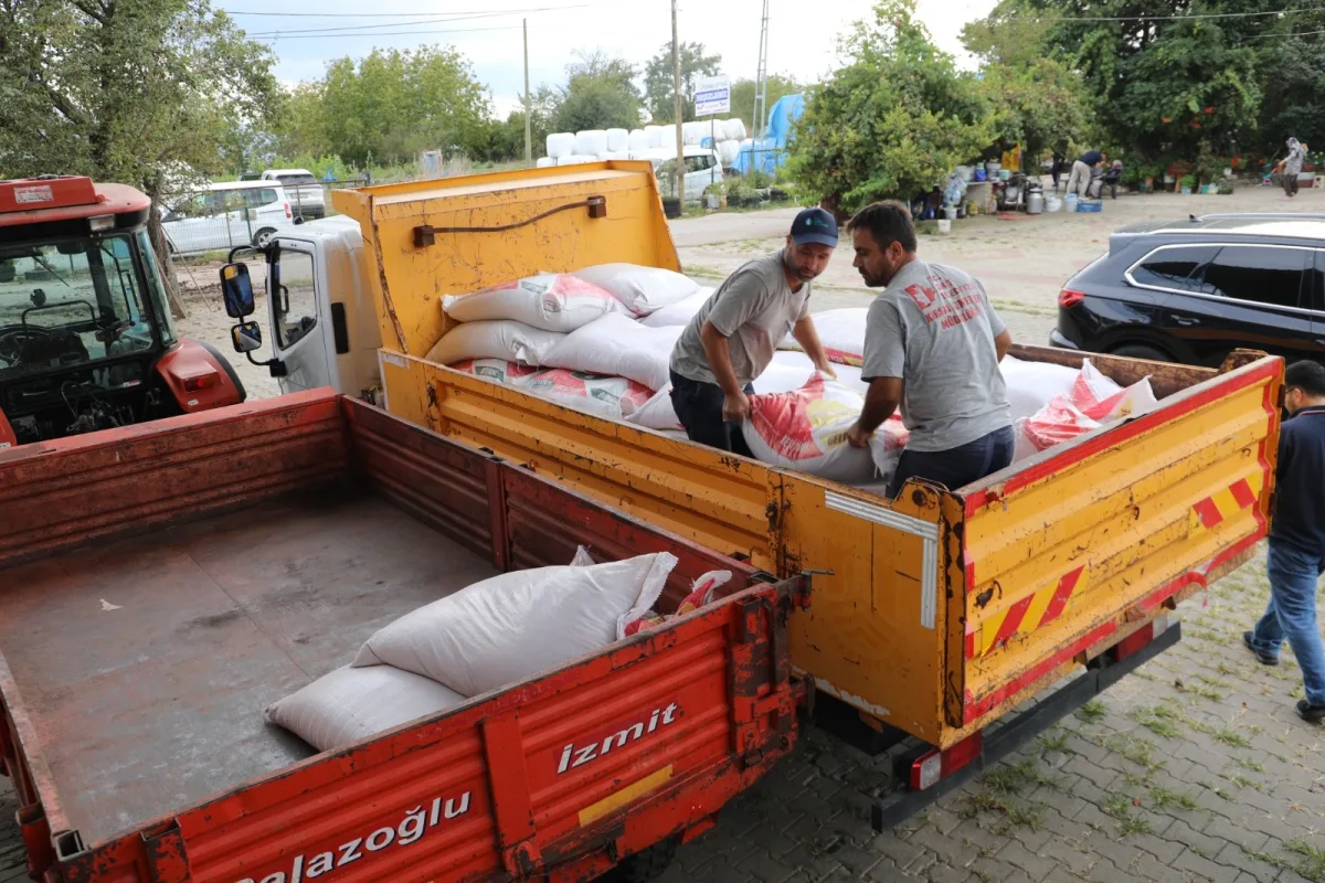 İzmit Belediyesi, yangın mağdurlarına saman ve yem yardımı