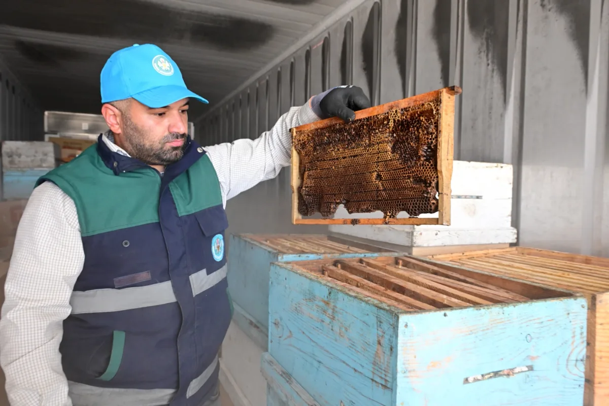 Manisa’da -30°C soğuk deposu ile arı petekleri korunuyor