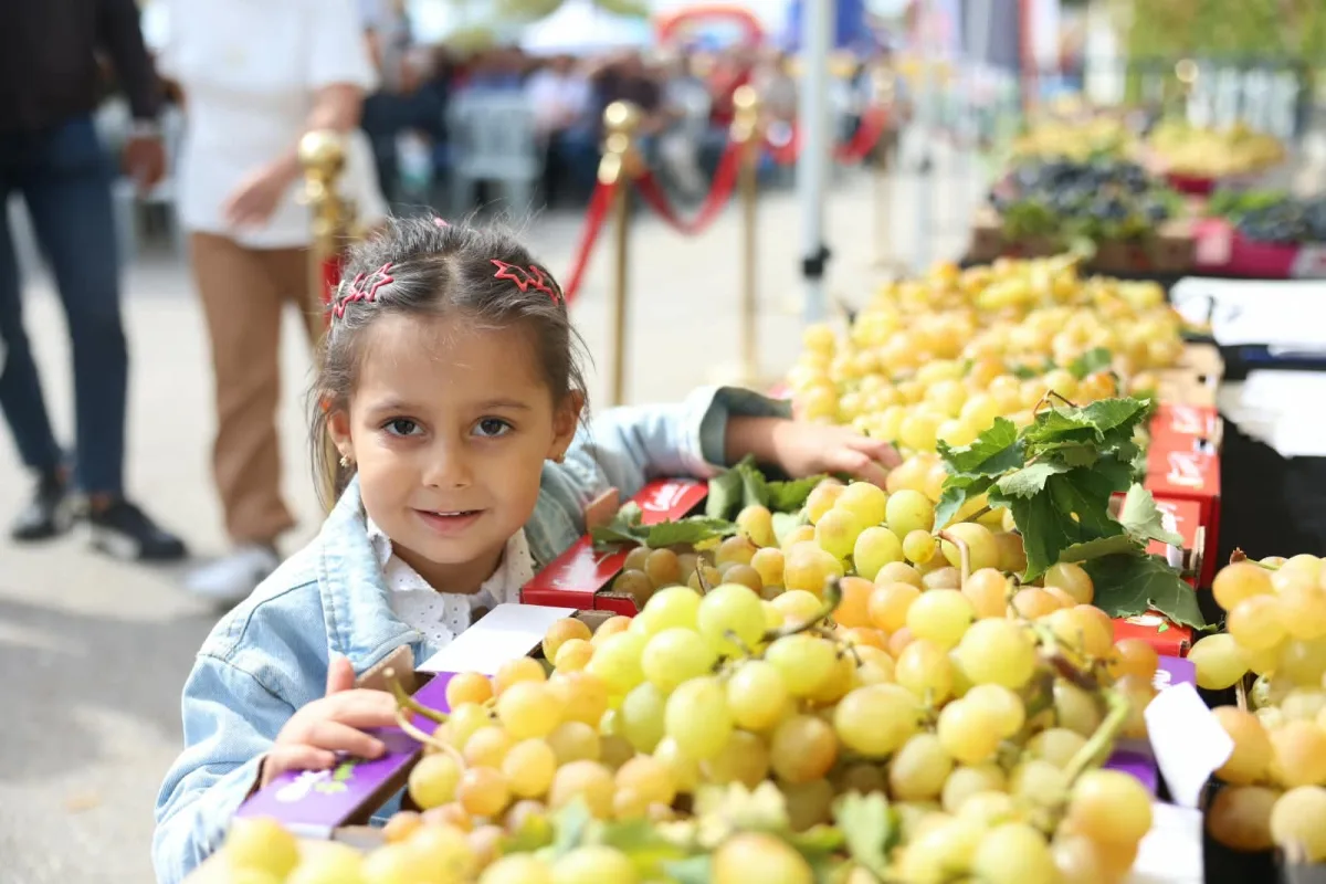Bursa Osmangazi’de 12. Üzüm Festivali Bereketiyle Düzenlendi