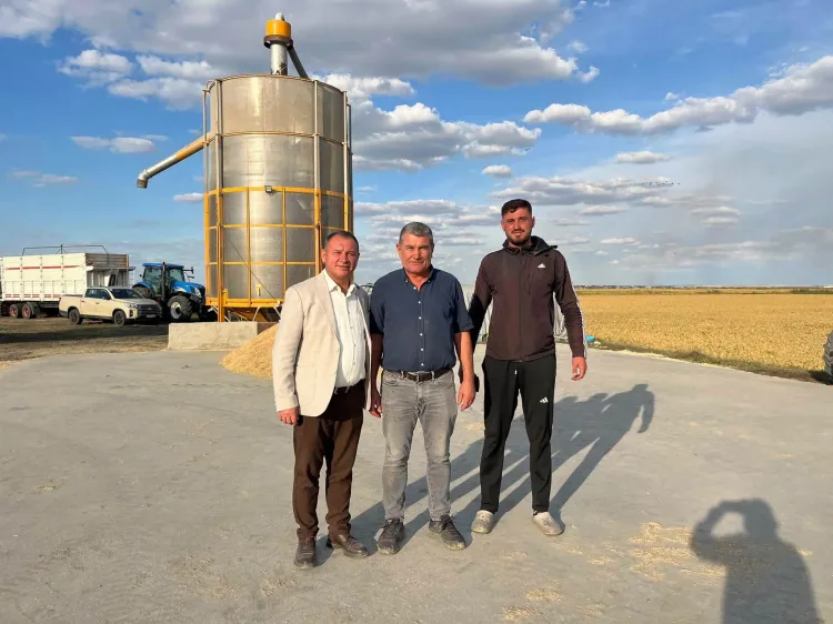 Yenikarpuzlu’da Çeltik Hasadı Başladı: Başkan Köprü Üreticilerle Buluştu