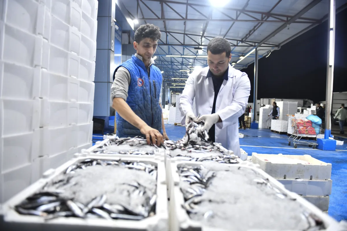 Ankara Balık Hali’nde Günlük Denetimler Artırıldı