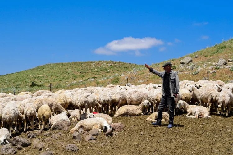 Malatya’da 35 yıllık yayla su sorunu çözüldü