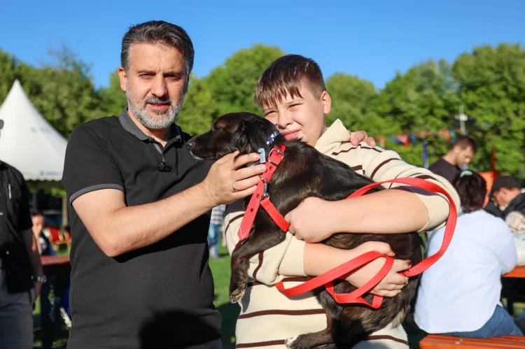 Bursa Büyükşehir'den can dostları için yuva seferberliği