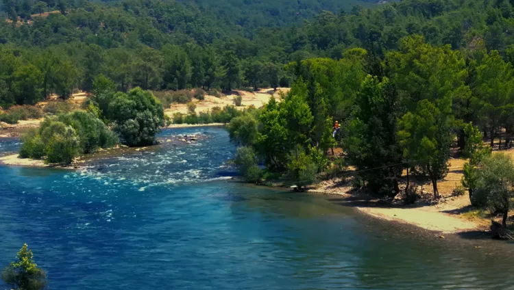 COP31 için Türkiye'den özel İngilizce şarkı