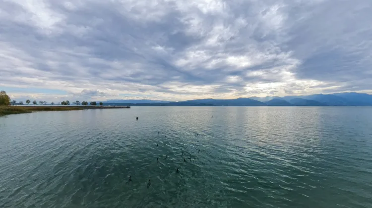 Son yağmurlar Sakarya’ya 4,5 aylık içme suyu kazandırdı