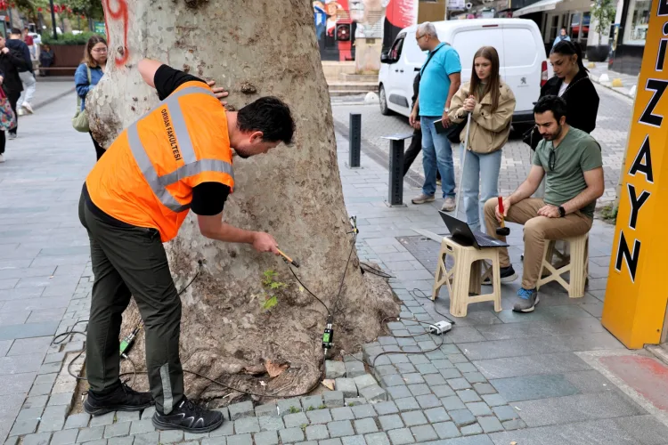 Kocaeli'nin doğal mirasına tomografi