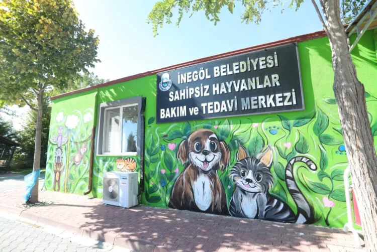 İnegöl’de Hayvanları Koruma Günü’nde Renkli Buluşma