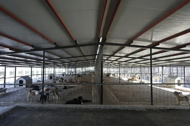 İzmir Karabağlar’da hayvan sağlığı hizmetlerine modern merkez