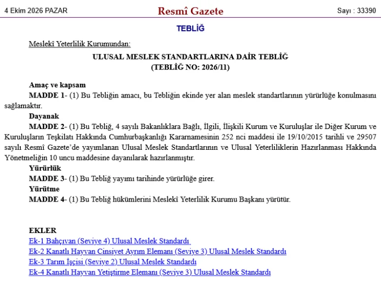 4 yeni meslek için ulusal standart yürürlükte