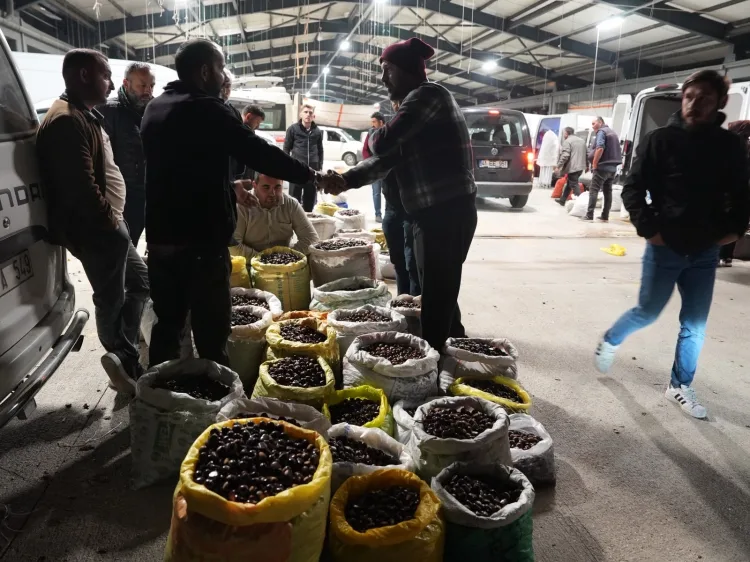 Düzce'nin coğrafi işaretli Kuzu Kestanesi'ne Türkiye’nin dört bir yanından tüccar ilgisi