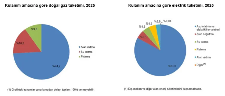 Hanelerin 2025 enerji tüketiminde doğal gaz ilk sırada
