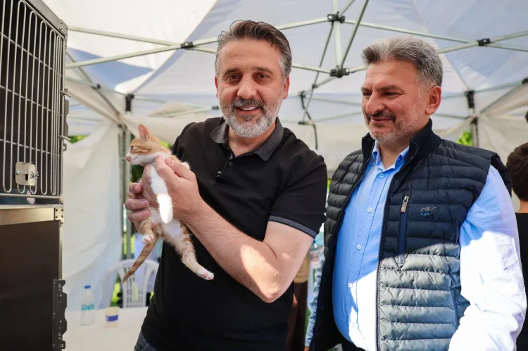 Bursa Büyükşehir'den can dostları için yuva seferberliği
