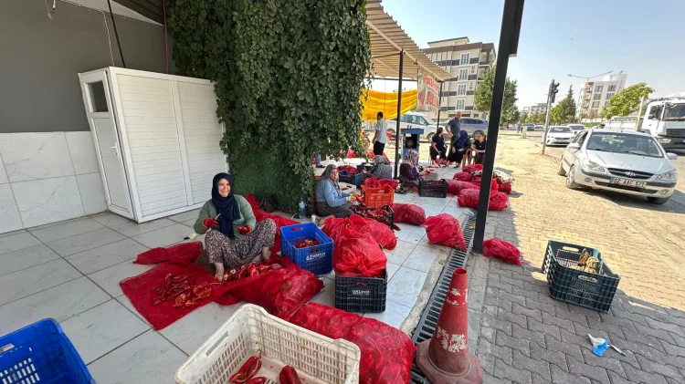 Adıyaman’da kış hazırlıkları hızlandı... Damlarda salça mesaisi başladı