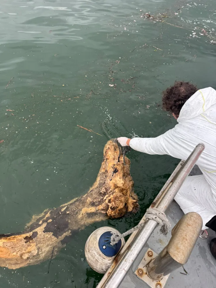İzmit Körfezi’nde yağış sonrası temizlik mesaisi
