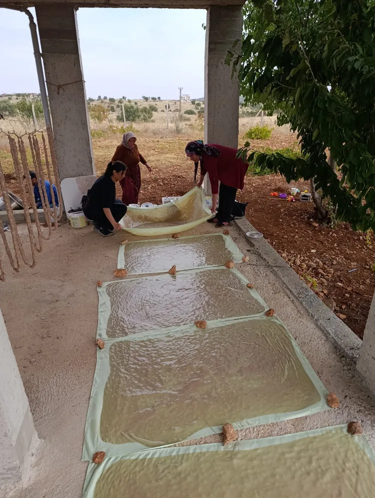 Mardin’de asırlık bağ bozumu heyecanı
