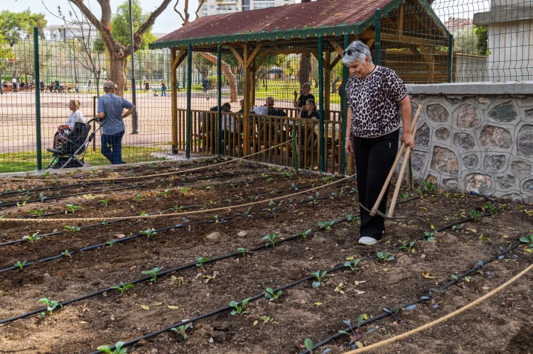 İzmir'de toprakla buluştu, yaşama yeniden tutundu